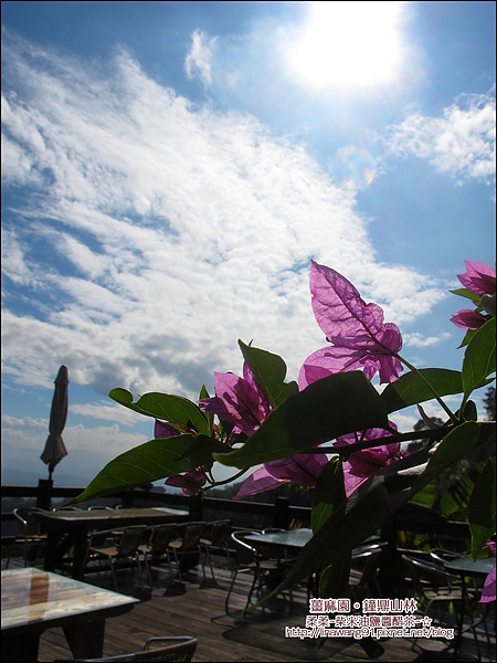 2010-1118-大湖-薑麻園-鐘鼎山林 (12).jpg