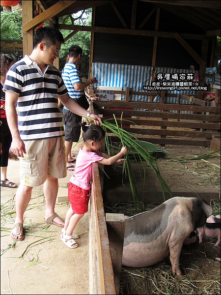 吳厝楊家莊-2010-0815 (50).jpg