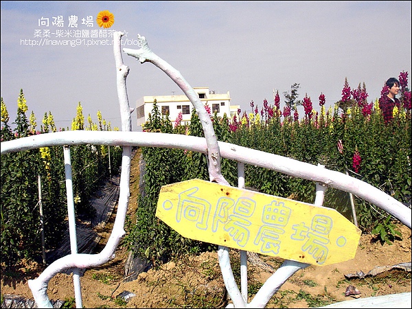 2010-0328-向陽農場 (16).jpg