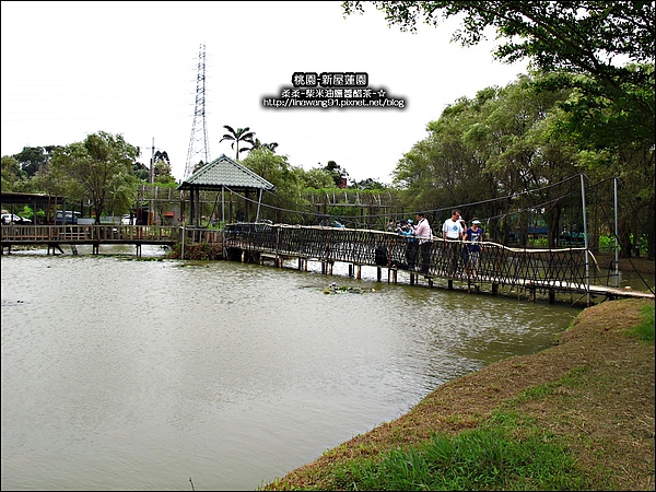 2010-0620-新屋蓮園 (5).jpg