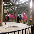 2011-0223-新竹公園-賞櫻花 (15).jpg