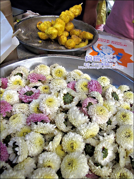 2010-1114-2010-銅鑼-杭菊芋頭節 (11).jpg