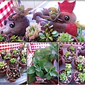 媽咪小太陽親子聚會-2011-0110-綠色-多肉植物 (25).jpg