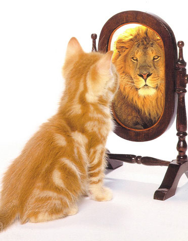 自戀系列之 鏡映(mirroring) @ 納西斯花園:: 痞客邦::