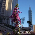 You'll See-32.jpg