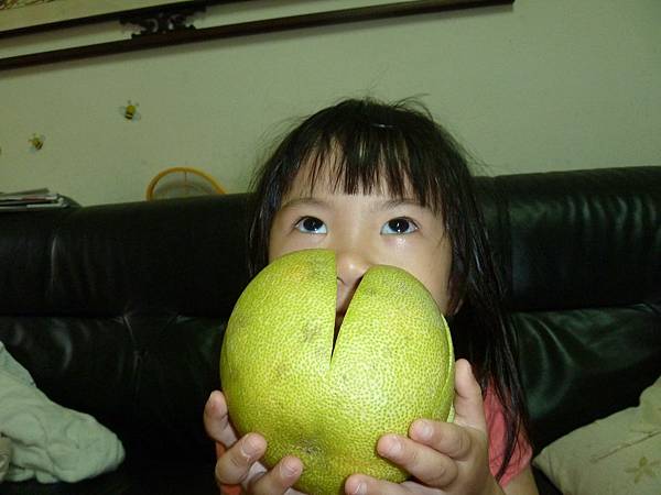 戴柚子帽 戴柚子帽