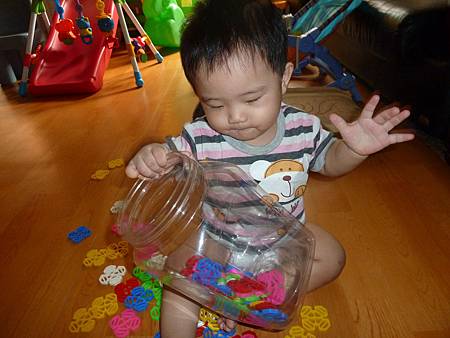 P1040429 P1040429