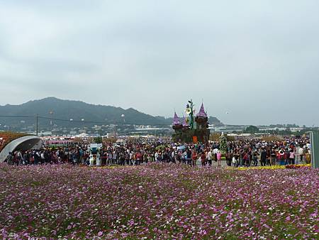 102年11月16日新社花海