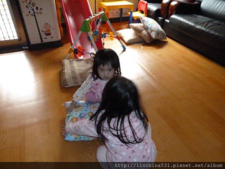 P1050056 P1050056