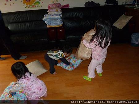 P1050067 P1050067