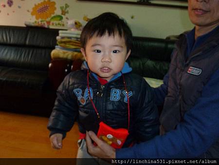 P1050515 P1050515