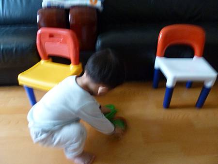 P1050839 P1050839