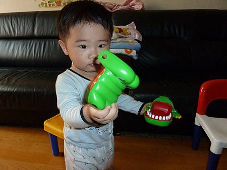 P1050840 P1050840