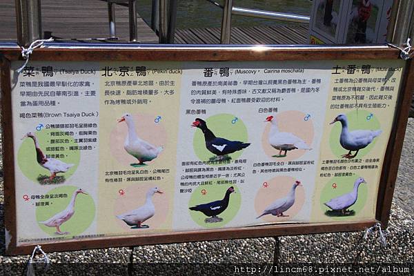 1000712-2011宜蘭國際童玩節- 159.JPG 1000712-2011宜蘭國際童玩節- 159.JPG