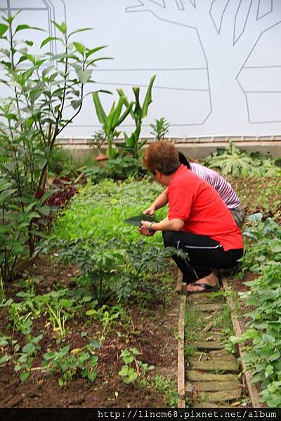 1001016-臺北市中山區聚盛里-友誼農場- (23).JPG