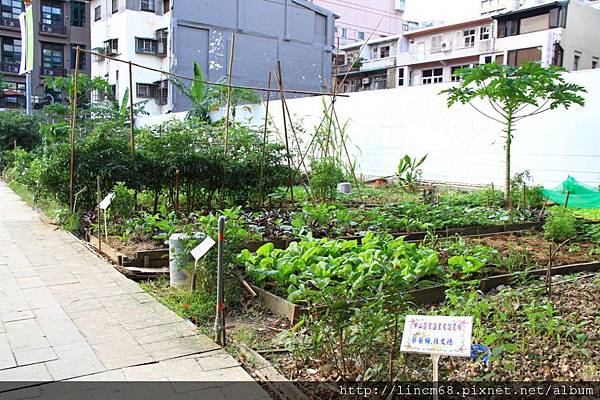 1001017-臺北市中山區聚盛里-友誼農場- (12).JPG