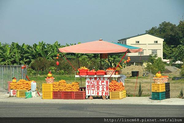 1010110-雲林古坑-柳丁攤- (2).JPG