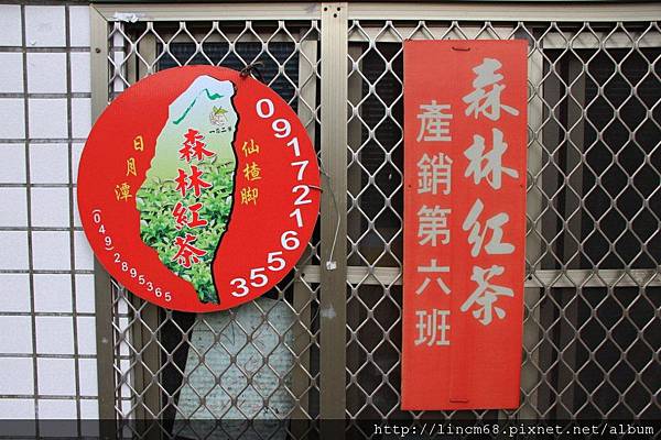 1010215-南投縣魚池鄉-大雁村- (16) 1010215-南投縣魚池鄉-大雁村- (16)