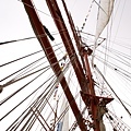 Sedov (12).jpg