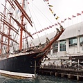 Sedov (40).jpg