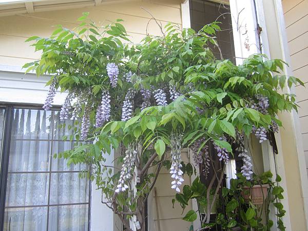 IMG_2240 IMG_2240
