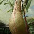 R0023767