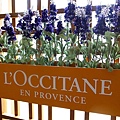 L'OCCITANE Cafe 夢時代-歐舒丹咖啡