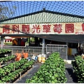 台南美食-南科觀光草莓園-親子農場