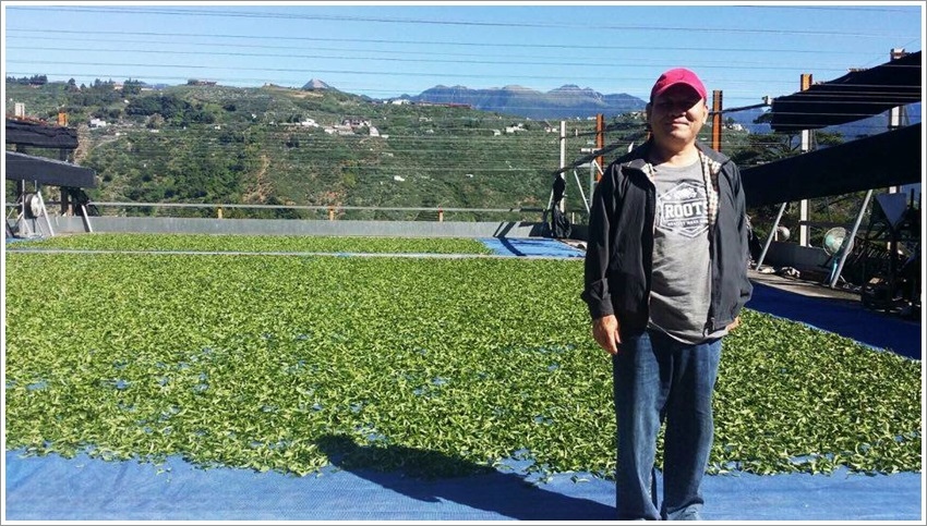 台南美食-瑪展茶莊遵循古老烘培台灣茶~失傳的烘培~-台灣茶的香氣來源