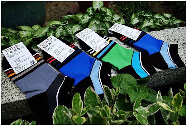 網購人氣商品-台灣製造MonkeySock多彩襪專賣