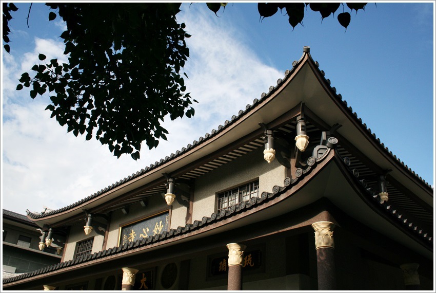 照片 052.jpg 照片 052.jpg