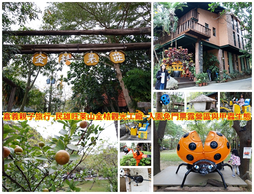 嘉義親子旅行-民雄旺萊山金桔觀光工廠-入園免門票露營區與甲蟲生態 嘉義親子旅行-民雄旺萊山金桔觀光工廠-入園免門票露營區與甲蟲生態