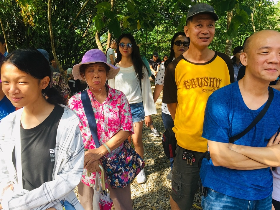 台東旅遊秘境-鸞山部落會走路的樹鸞山森林博物館大到讓人震撼的會移動的樹、自己烤竹叉山豬肉、極具挑戰的森林攀登、品嚐原住民風味餐和體驗大臼搗麻糬