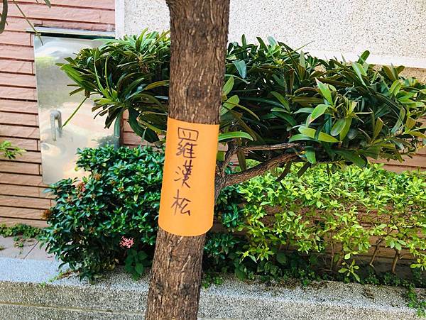 網路人氣推薦便利貼3M Post-it利貼極黏便條紙具有絕佳的抗水、抗污性，即使長時間使用便利貼也牢牢的黏住