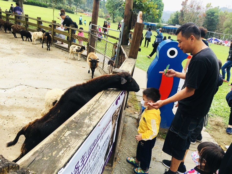 親子兒童節年假最好的去處嘉義中埔獨角仙休閒農場超大草地一票玩到底遊樂設施，獨甲仙DIY動作做羊駝、梅花鹿媲美小型動物園