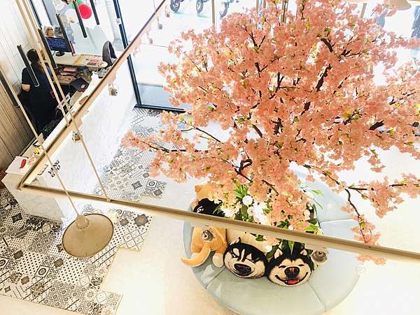 台南火鍋推薦養鍋Yang Guo石頭涮涮鍋台南文化店,重磅海陸大餐龍蝦螃蟹日本干貝頂級和牛牛肉,頂級食材這裡通通都有火鍋控快收藏 台南火鍋推薦養鍋Yang Guo石頭涮涮鍋台南文化店,重磅海陸大餐龍蝦螃蟹日本干貝頂級和牛牛肉,頂級食材這裡通通都有火鍋控快收藏