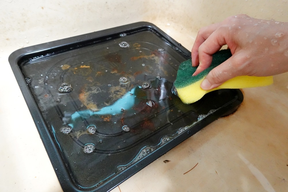 DSC06006.JPG SANSUI山水氣炸烤箱12L旋風溫控智能氣炸烤箱SAF-553N