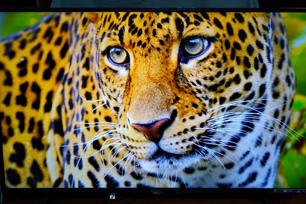 DSC06229.JPG DSC06229.JPG