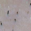 enspire_image_2023218 (1).png