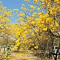 IMG_5133.JPG