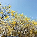 IMG_5151.JPG