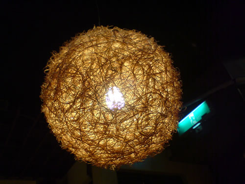 DSC01101.jpg