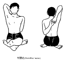 gomukhasana.gif