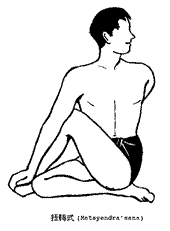 matsyendrasana.gif