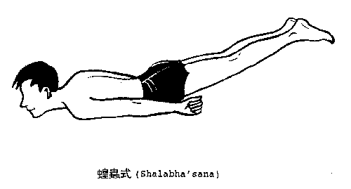 shalabhasana.gif