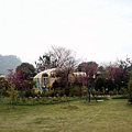 DSC02848.jpg