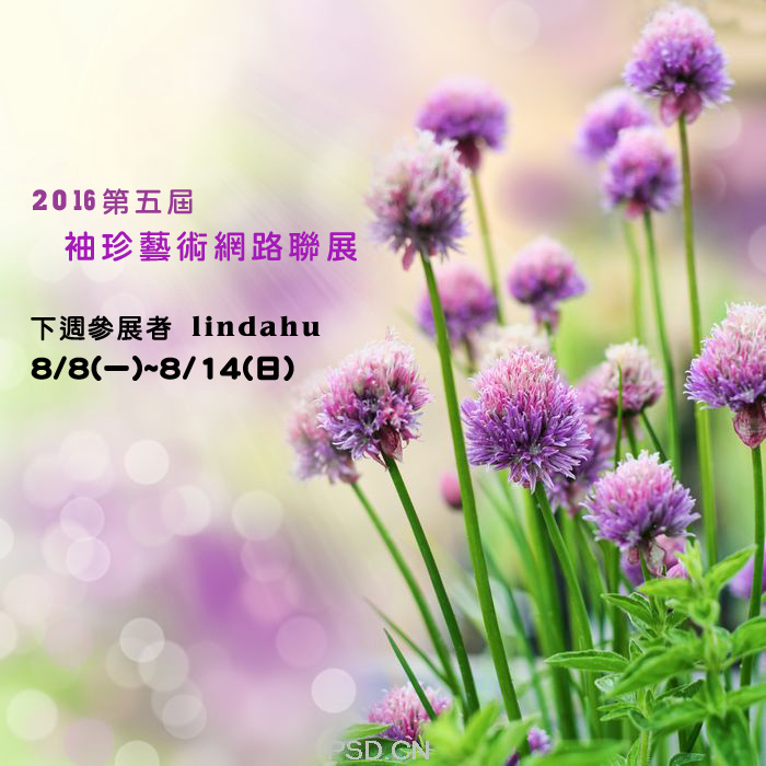 8月5掛上.jpg 8月5掛上.jpg