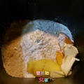 IMAG7443.jpg