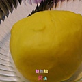 IMAG7445.jpg