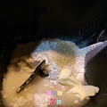 IMAG7446.jpg